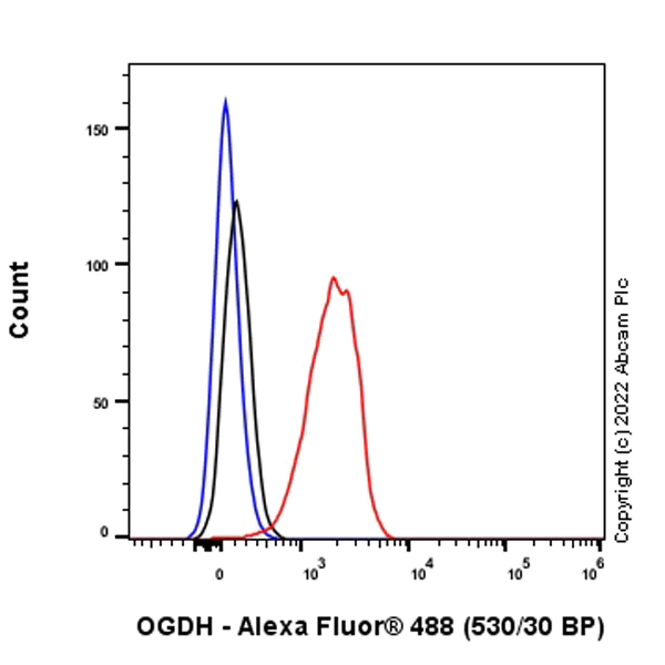 Flow Cytometry (Intracellular) - Anti-OGDH antibody [EPR27181-78] (AB307369)