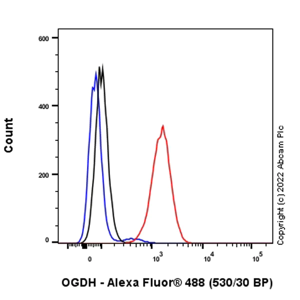Flow Cytometry (Intracellular) - Anti-OGDH antibody [EPR27181-78] - BSA and Azide free (AB307370)