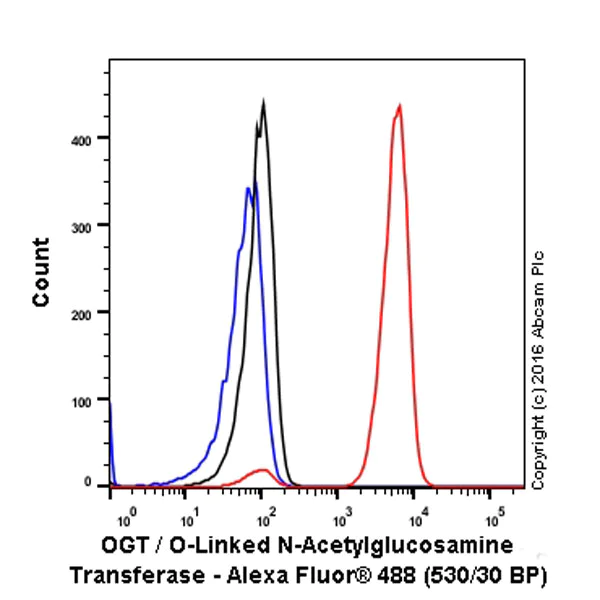 Flow Cytometry (Intracellular) - Anti-OGT / O-Linked N-Acetylglucosamine Transferase antibody [EPR12713] (AB177941)