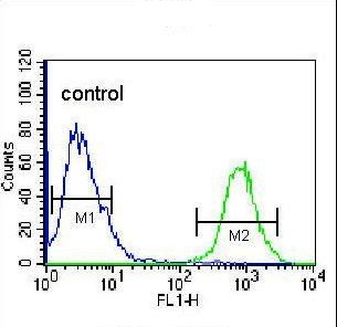 Flow Cytometry (Intracellular) - Anti-OIF antibody - C-terminal (AB211456)