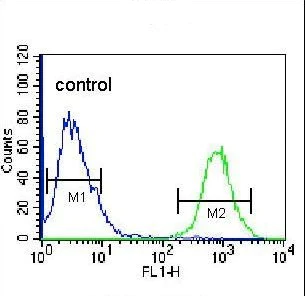 Flow Cytometry (Intracellular) - Anti-OIF antibody - C-terminal (AB211456)