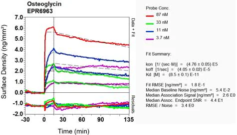 OI-RD Scanning - Anti-OIF antibody [EPR6963] (AB126749)