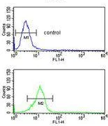 Flow Cytometry (Intracellular) - Anti-Olig3 antibody (AB230626)