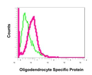 Flow Cytometry - Anti-Oligodendrocyte Specific Protein antibody [EPR12726] - Oligodendrocyte Marker (AB175236)