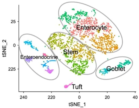 Conjugation - Oligonucleotide Conjugation Kit (AB218260)