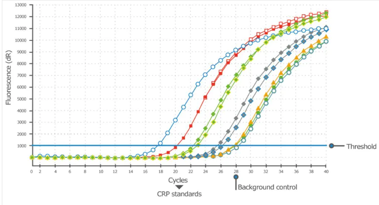 PCR - Oligonucleotide Conjugation Kit (AB218260)