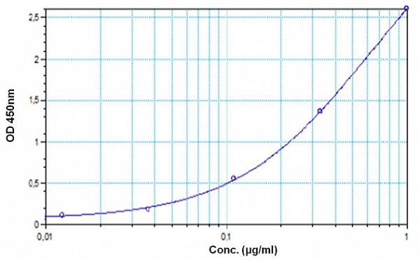 Sandwich ELISA - Omalizumab ELISA Kit (AB237650), expandable thumbnail