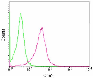 Flow Cytometry (Intracellular) - Anti-Orai2 antibody [EPR10043(2)] - C-terminal (AB180146)