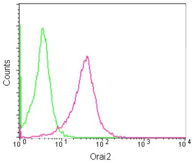 Flow Cytometry (Intracellular) - Anti-Orai2 antibody [EPR10043(2)] - C-terminal (AB180146)