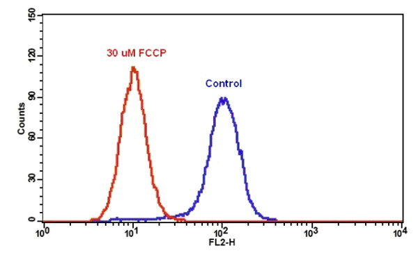 Flow Cytometry - Orange Mitochondrial Membrane Potential Assay Kit (Flow Cytometry) (AB138898), expandable thumbnail
