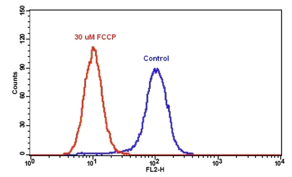Flow Cytometry - Orange Mitochondrial Membrane Potential Assay Kit (Flow Cytometry) (AB138898)