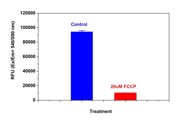 Functional Studies - Orange Mitochondrial Membrane Potential Assay Kit (Microplate) (AB138899)