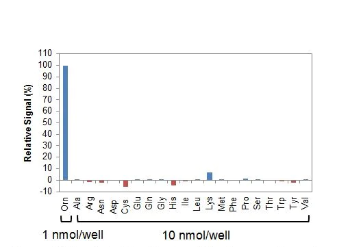 Functional Studies - Ornithine Assay Kit (Fluorometric) (AB252903)