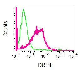 Flow Cytometry (Intracellular) - Anti-ORP1 antibody [EPR8646] (AB131165)