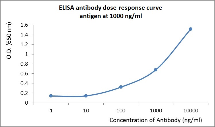 ELISA - Anti-Orthoreovirus fusion protein p10 antibody (AB26816)