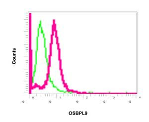 Flow Cytometry (Intracellular) - Anti-OSBPL9 antibody [EPR9333] - BSA and Azide free (AB249015)