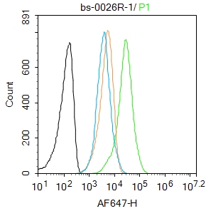 Flow Cytometry - Anti-Osteopontin antibody (AB216402), expandable thumbnail