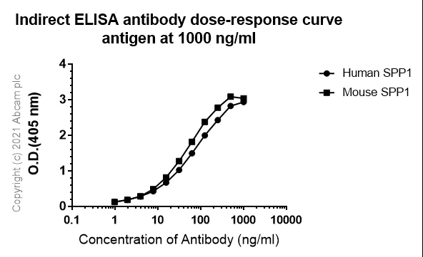 Competitive ELISA - Anti-Osteopontin antibody [RM1018] - BSA and Azide free (AB283669)