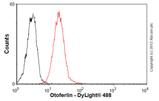 Flow Cytometry - Anti-Otoferlin antibody [13A9] (AB53233), expandable thumbnail