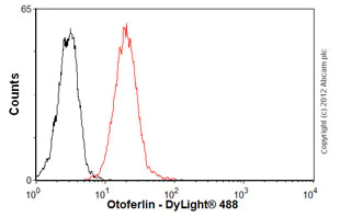 Flow Cytometry - Anti-Otoferlin antibody [13A9] (AB53233)