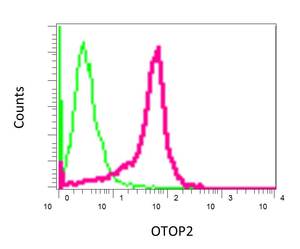 Flow Cytometry (Intracellular) - Anti-OTOP2 antibody [EPR9484] - BSA and Azide free (AB249409), expandable thumbnail