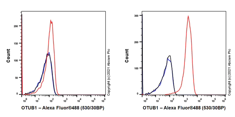 Flow Cytometry (Intracellular) - Anti-OTUB1 antibody [EPR24917-75] - BSA and Azide free (AB283705)