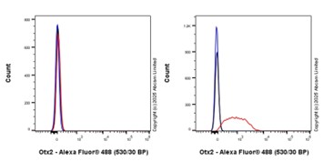 Flow Cytometry (Intracellular) - Anti-Otx2 antibody [EPR3348] - BSA and Azide free (AB247542), expandable thumbnail