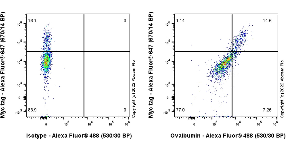 Flow Cytometry (Intracellular) - Anti-Ovalbumin antibody [EPR27117-90] (AB306591), expandable thumbnail
