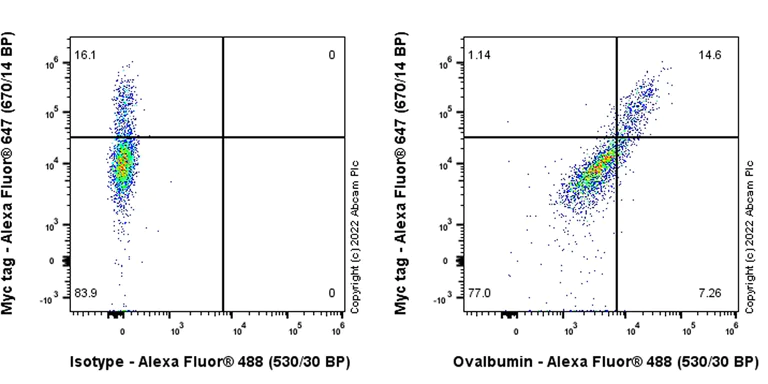 Flow Cytometry (Intracellular) - Anti-Ovalbumin antibody [EPR27117-90] (AB306591)