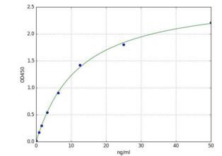 Sandwich ELISA - Ovalbumin (OVA) ELISA Kit (AB289830)