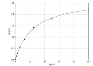Sandwich ELISA - Ovalbumin (OVA) ELISA Kit (AB289830)