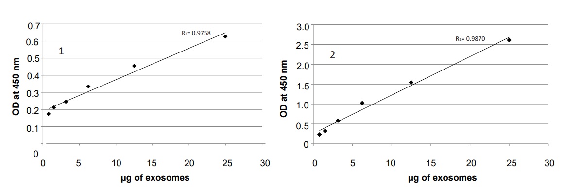Sandwich ELISA - Overall Exosome Capture and Quantification ELISA Assay Kit (AB285284), expandable thumbnail