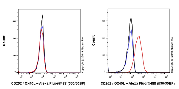 Flow Cytometry - Anti-OX40L/TNFSF4 antibody [EPR23155-317] (AB263910), expandable thumbnail