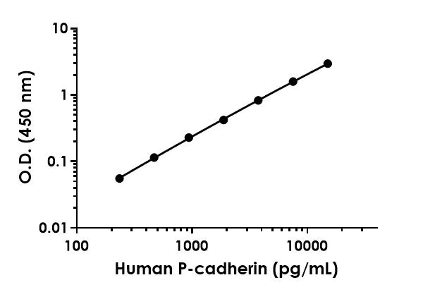 Sandwich ELISA - Anti-P cadherin antibody [EPR22837-252] - BSA and Azide free (Detector) (AB274443)