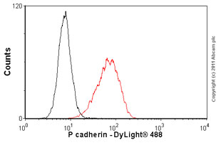 Flow Cytometry - Anti-P cadherin antibody [MM0508-9V11] (AB89900)