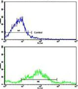 Flow Cytometry (Intracellular) - Anti-P cadherin antibody - N-terminal (AB190076)