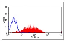 Flow Cytometry - Anti-P-Selectin (CD62P) antibody [Psel.KO.2.5] (AB118522)