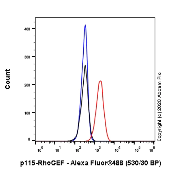 Flow Cytometry (Intracellular) - Anti-p115-RhoGEF antibody [JH-1] - BSA and Azide free (AB255755)