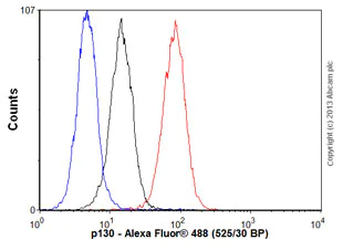 Flow Cytometry (Intracellular) - Anti-p130 antibody [EP2141Y] - BSA and Azide free (AB247453)