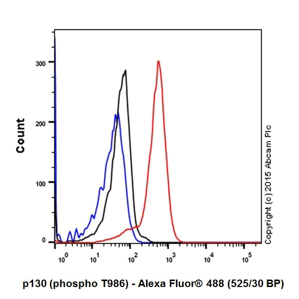 Flow Cytometry (Intracellular) - Anti-p130 (phospho T986) antibody [EPR2389(2)] - BSA and Azide free (AB251534)