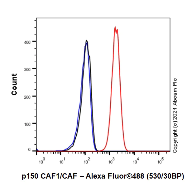 Flow Cytometry (Intracellular) - Anti-p150 CAF1/CAF antibody [EPR5576(2)] - BSA and Azide free (AB232030)