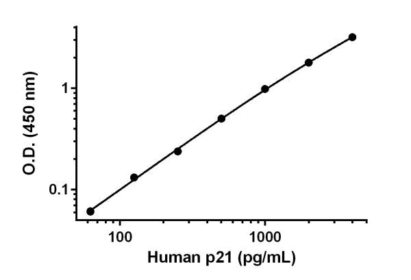 ELISA - Anti-p21 antibody [EPR18690-103] - BSA and Azide free (Detector) (AB242711)