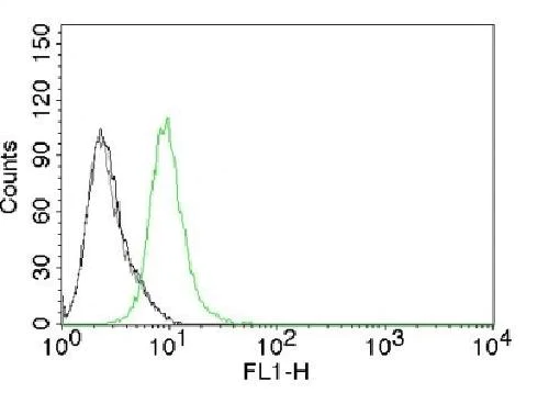 Flow Cytometry - Anti-p27 KIP 1 antibody [KIP1/769] - BSA and Azide free (AB212252)