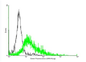 Flow Cytometry - Anti-P2Y8 antibody (AB169392)