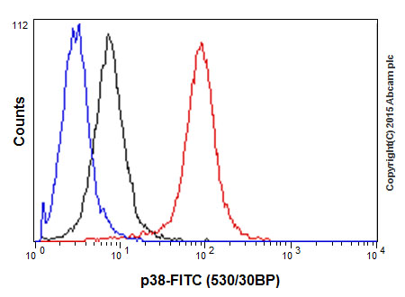 Flow Cytometry (Intracellular) - Anti-p38 alpha/MAPK14 antibody [E229] - BSA and Azide free (AB225534)