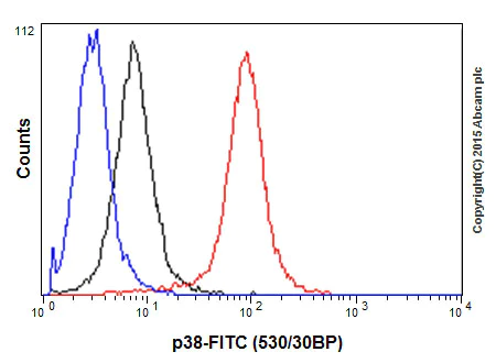 Flow Cytometry (Intracellular) - Anti-p38 alpha/MAPK14 antibody [E229] - BSA and Azide free (AB225534)