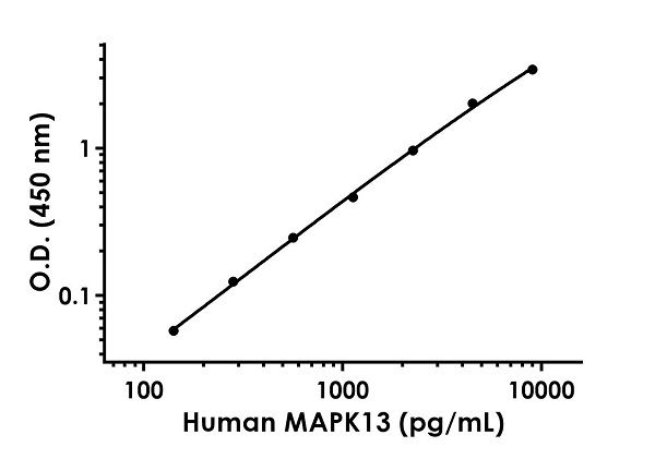 Sandwich ELISA - Anti-p38 delta/MAPK13 antibody [EPR20779-280] - BSA and Azide free (Detector) (AB245020), expandable thumbnail