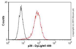 Flow Cytometry (Intracellular) - Anti-p38 delta/MAPK13 + p38 alpha/MAPK14 antibody [M138] (ab31828), expandable thumbnail