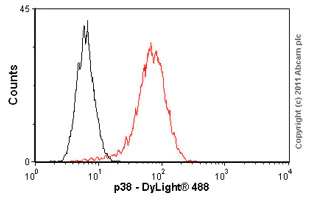 Flow Cytometry (Intracellular) - Anti-p38 delta/MAPK13 + p38 alpha/MAPK14 antibody [M138] (AB31828)