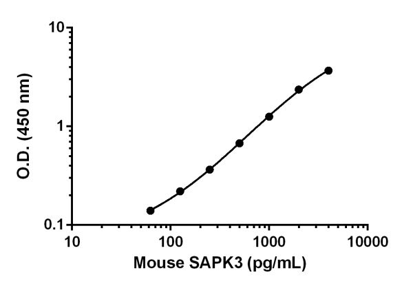 Sandwich ELISA - Anti-p38 gamma/MAPK12 antibody [EPR17637-104] - BSA and Azide free (Detector) (AB242828)